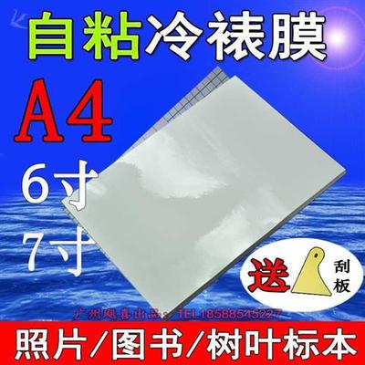 树叶标本塑封膜冷裱膜6寸A4A6手工自粘相片纸照片植物书签冷表膜