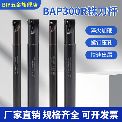 BIYBAP300R直角立铣刀杆