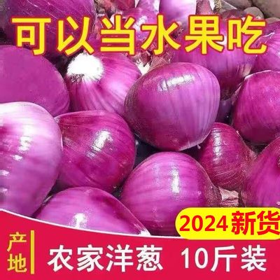 云南水果洋葱10斤新鲜蔬菜当季