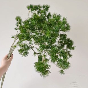 精选高质仿真松枝崖柏装饰叶子松针松柏树罗汉松盆景仿真植物家居