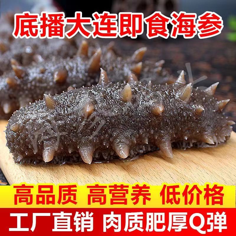 即食野生大连海参批发