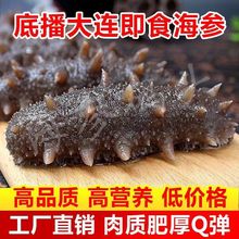 正宗大连野生纯淡干海参干货深海特级辽刺参非即食海参礼盒