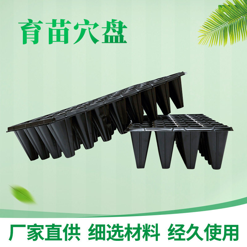 穴盘育苗盘苗木多肉花卉蔬菜草莓PET扦插塑料加厚加深育秧盘育苗