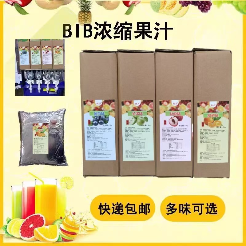 昶兴BIB10倍浓缩果汁5升袋冲饮果汁