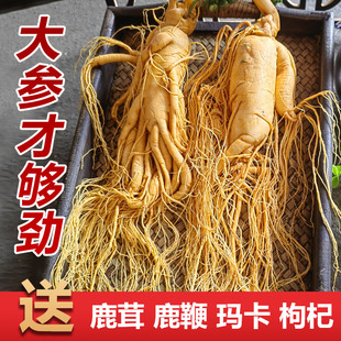 长白山园参煲汤泡酒滋补养生专用大参高龄保鲜参吉林人参东北特产