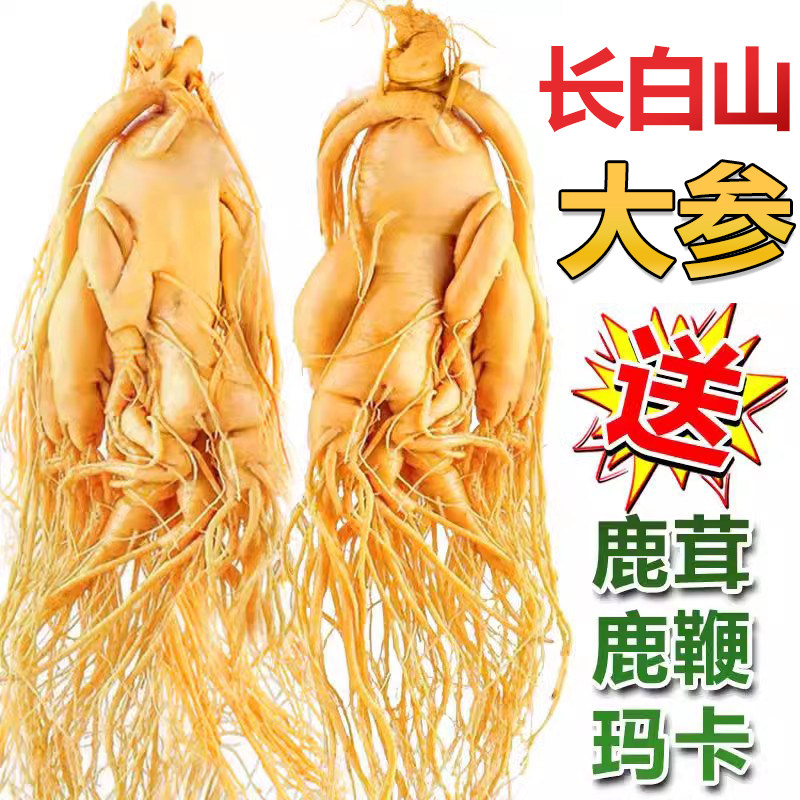 长白山新鲜人参泡水泡酒专用鲜参正宗东北土特产滋补养生吉林人参