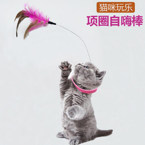 新品项圈逗猫棒自嗨解闷猫咪玩具套脖项圈羽毛铃铛猫玩具宠物用品