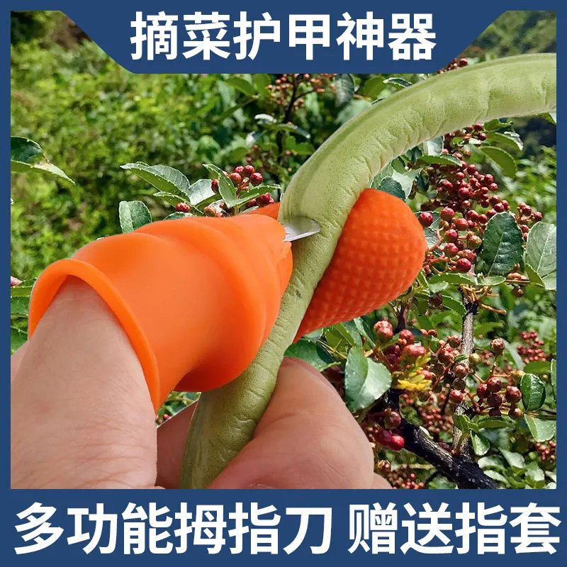 剥花生壳手套摘花椒神器专用手套采摘铁指甲套摘菜器掐菜摘豆角农,居家日用,手部防护用品,淘宝优惠券,粉丝福利购,淘宝优惠卷