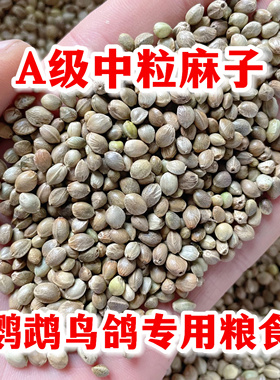 火麻仁鹦鹉鸟粮饲料中大颗粒麻子玄凤小太阳和尚专用粮食鸟食新粮