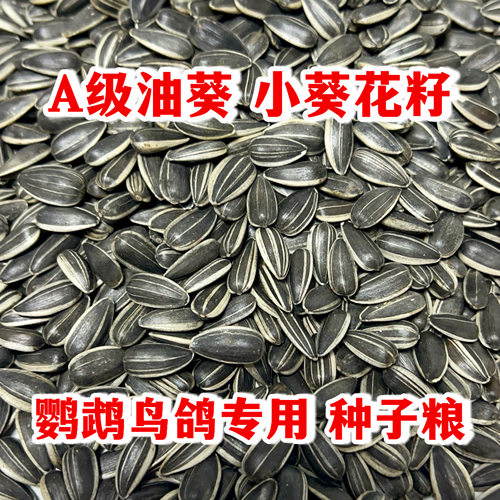 油葵鹦鹉鸟粮训练零食奖励