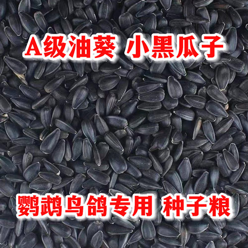 油葵鹦鹉鸟粮仓鼠鸽粮小瓜子鸟食人工挑选虎皮牡丹粮食零食饲料