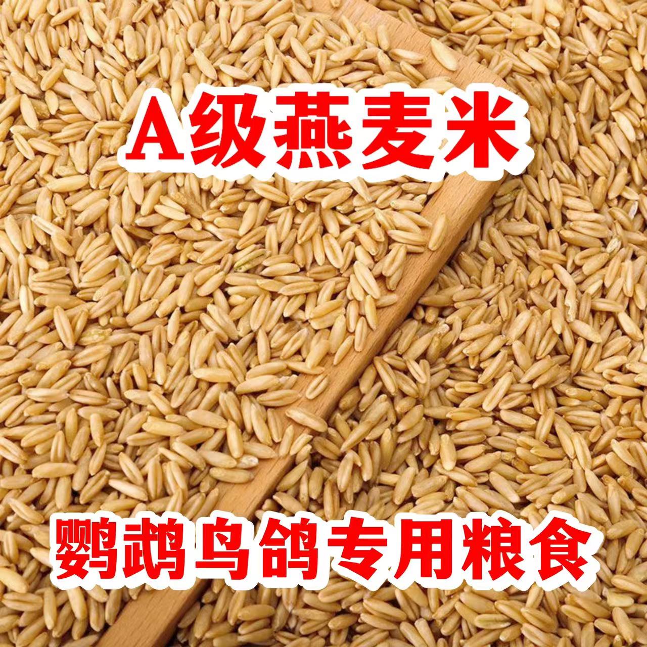 燕麦米鸟粮鸟雀麦野麦虎皮牡丹玄凤鹦鹉小太阳和尚饲料燕麦仁新粮
