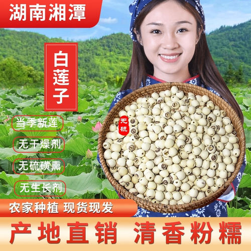当季新莲湘潭白莲子干货净重无硫