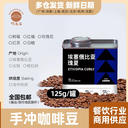手冲咖啡豆罐装125g浅度烘焙
