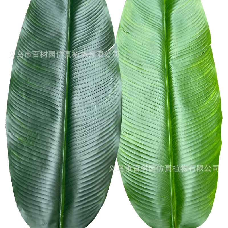 仿真芭蕉叶工程造景叶子酒店家居装饰摄影道具过胶香蕉叶