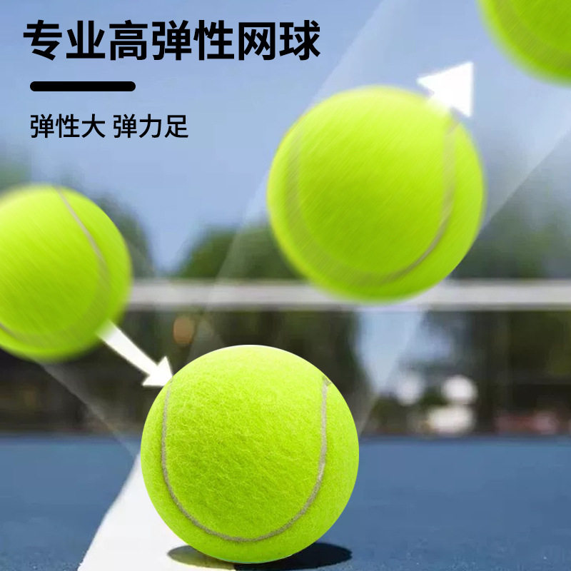 比赛专用网球成人儿童训练专用网球学校高弹耐打网球宠物狗玩具球