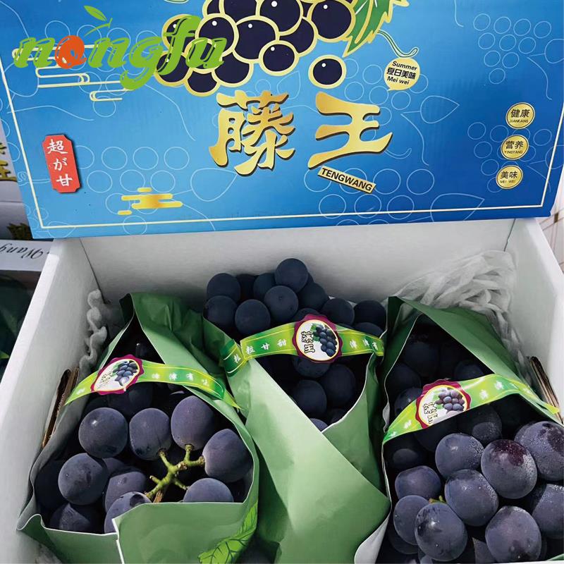 辽峰滕王葡萄巨峰新鲜水果超甘无籽葡萄2斤高甜香味浓限京闪送