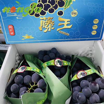 辽峰滕王葡萄巨峰新鲜水果超甘无籽葡萄2斤高甜香味浓限京闪送