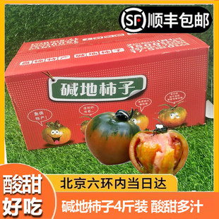 北京当日达】盘锦盐碱地柿子4斤礼盒装草莓味西红柿番茄新鲜
