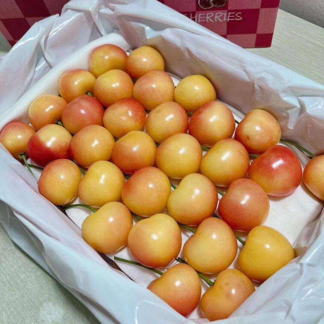 智利进口黄金车厘子2斤礼盒装新鲜时令水果黄色大樱桃顺丰