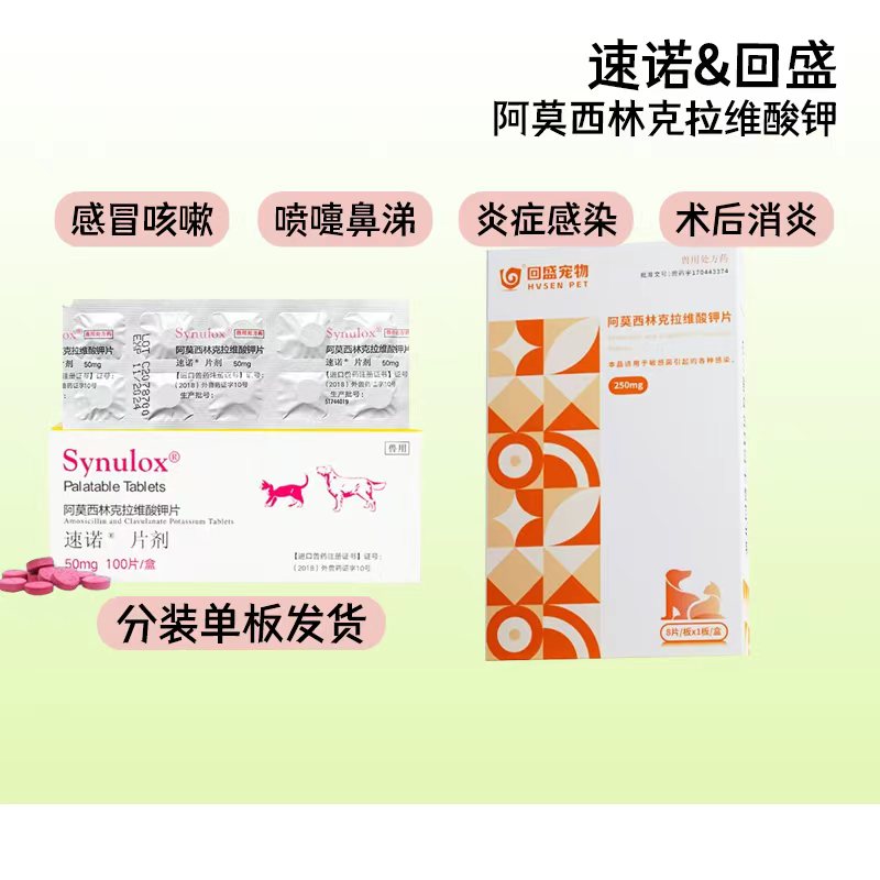 速诺汉维宠仕猫狗感冒药阿莫西林