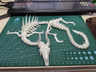 3D打印骨龙骨架龙骸骨龙一体关节可活动手办礼物摆件装 饰布景