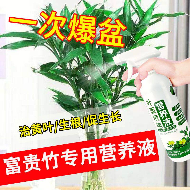 花草营养液通用【又肥又绿】富贵竹营养液专用型水叶面喷施免稀释