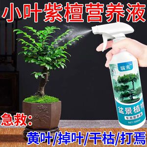 小叶紫檀营养液盆景肥料老桩树苗黄叶掉叶黑骨茶赤楠盆栽专通用肥