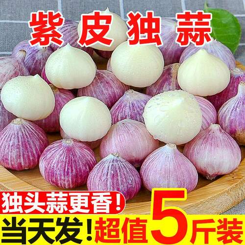 【新晒干蒜】紫皮独头蒜干蒜辽宁产区蒜香浓郁香辣饱满调味1/3/5