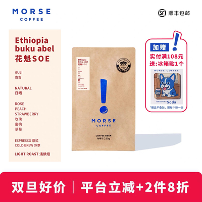 花魁SOE【新品】 MORSE莫思 埃塞古吉单品果香果酸咖啡豆250g