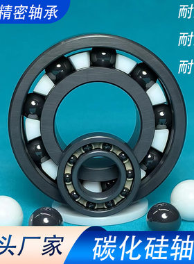 碳化硅陶瓷轴承6004耐高温耐腐蚀 电绝缘无油自润滑 厂家直发现货