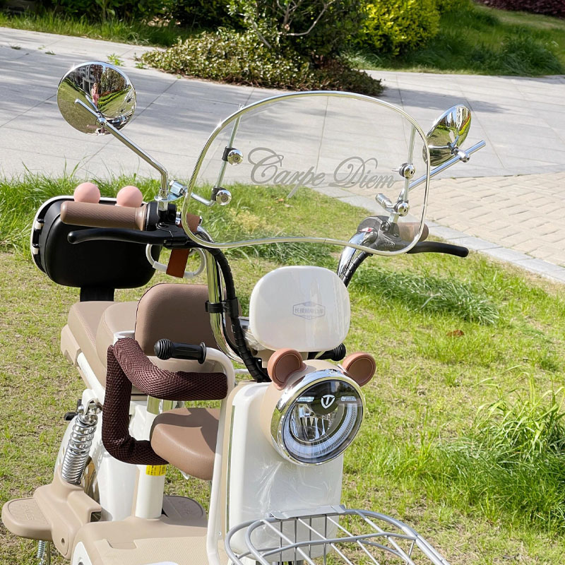 台铃小芬达电动车装饰大全