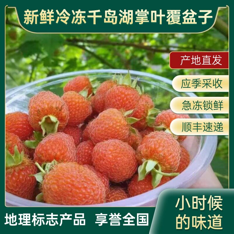 冷冻掌叶覆盆子鲜果无添加千岛湖