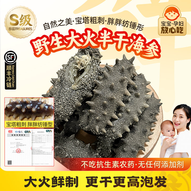 野生半干拉缸盐盐渍海参白刺长岛海参