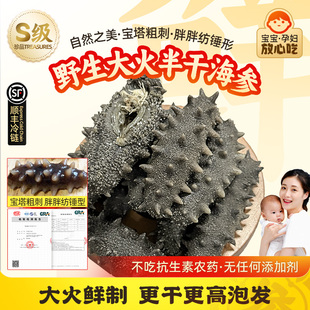 野生半干拉缸盐盐渍海参白刺长岛非纯淡干底播大连辽刺参50g