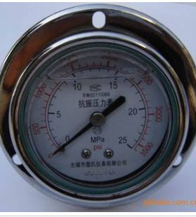 轴向耐震压力表 YN60ZT 压力表 耐震压力表 带油压力表
