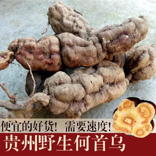 贵州新鲜野生何首乌中药材合首乌生首乌新鲜和首乌根泡酒护发药材