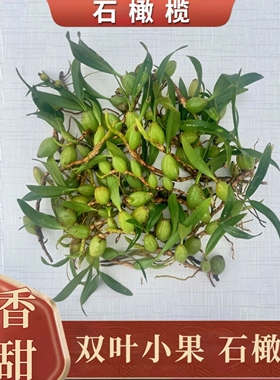 新鲜石橄榄排头双叶小果双叶中果石仙桃生岩珠果上叶山货现采现发