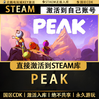 【Steam正版】PEAK拉我一把激活