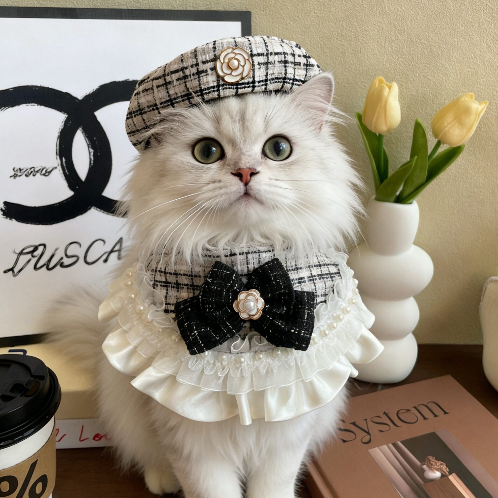 猫咪香风围脖宠物花边蝴蝶结围领可爱狗狗山茶花帽子中小型犬套装