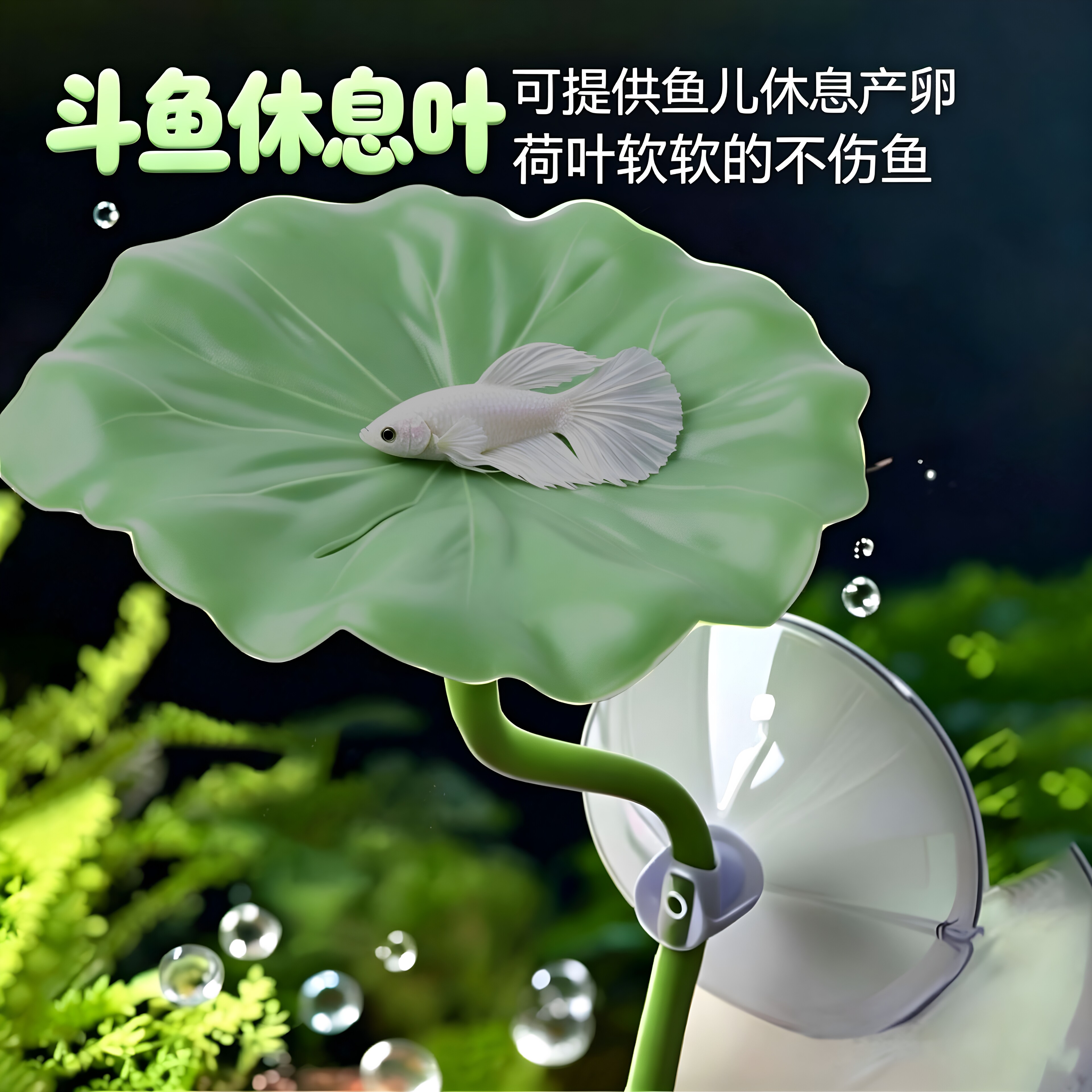 泰国斗鱼休息荷叶躲避睡觉床吸盘水草造景装饰鱼缸产卵栖息树叶