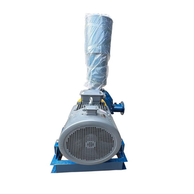 High Efficiency Industrial Strong Wind Electric Blower