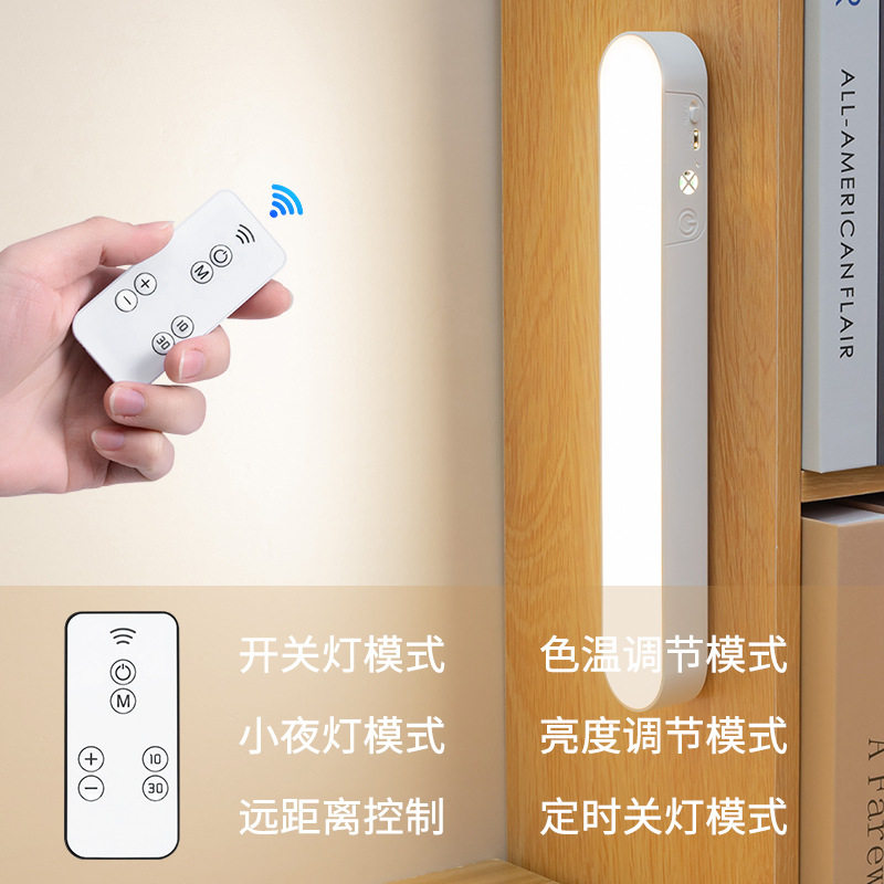 源头工厂遥控充插两用磁