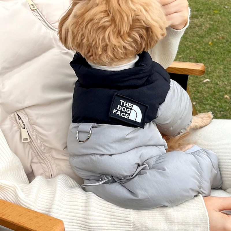 宠物四脚棉服小型犬泰迪