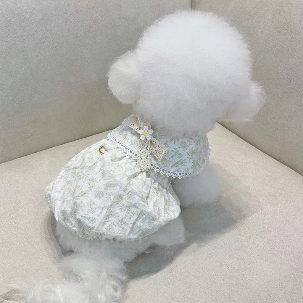 狗狗衣服夏季薄款带牵引