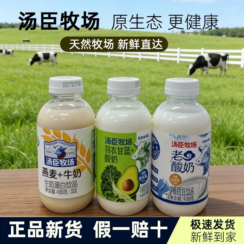 汤臣牧场燕麦牛奶羽衣甘蓝酸奶原味老酸奶整箱15瓶450g营养饮品