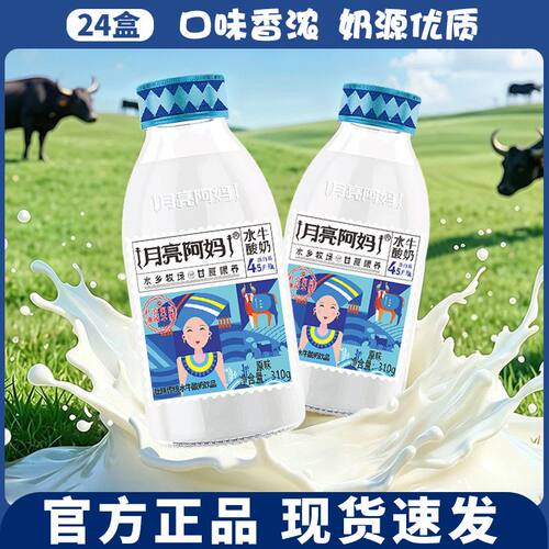月亮阿妈水牛奶酸奶发酵型学生儿童营养早餐常温广西酸奶饮品310g