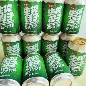 隐雪饮料鲜磨豆奶310ml*24罐整箱