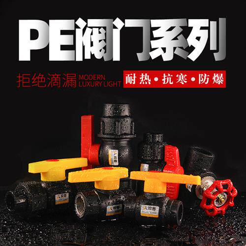 pe阀门升降式停止阀双活接全塑内丝钢芯球阀 20 25 32 pe水管管材