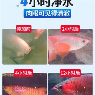 发黄鱼缸净水济消化水清洁养鱼净水剂小型一滴清混浊水垢清水清理